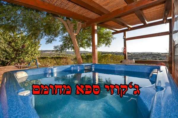 בצל האלון 0