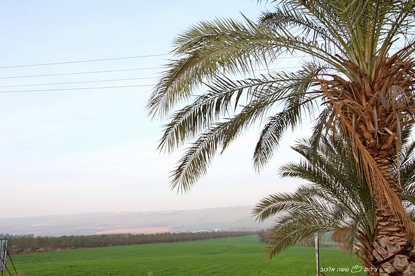 מערות המפל הקסום 19